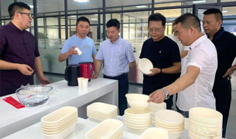 Actively explore new environmental protection new materials 